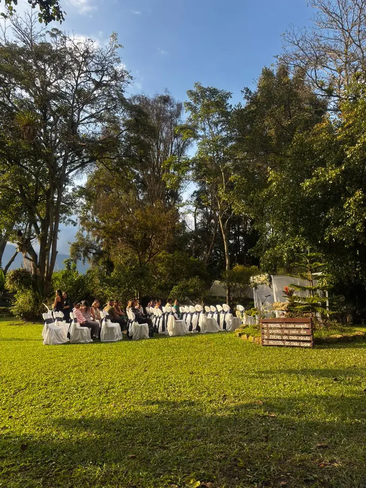 Montaje de boda al aire libre entre árboles
