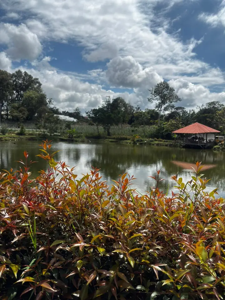 Jardín florecido junto al lago del centro recreacional Valle de Elí