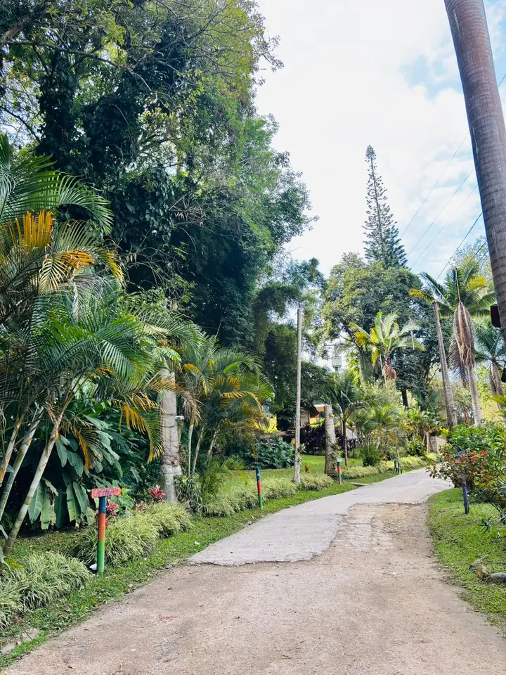Sendero ecológico entre jardines