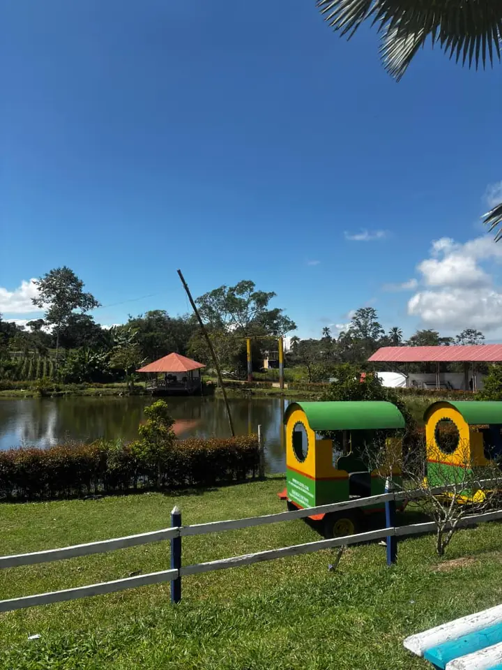 Trencito junto al lago y las zonas verdes